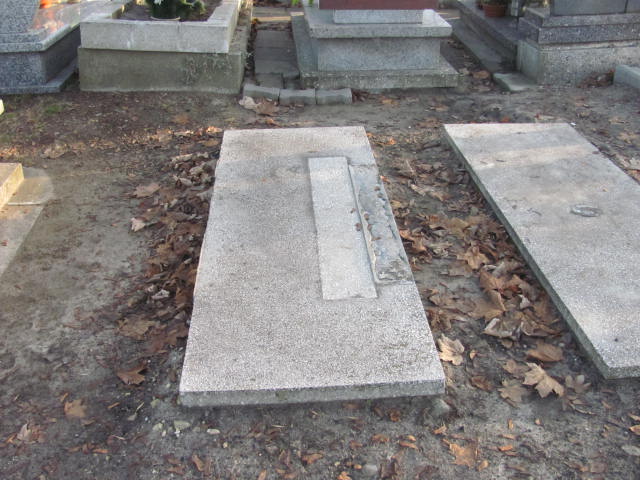 Leon Szeliga 1908 Świętochłowice (Chropaczów) - Grobonet - Wyszukiwarka osób pochowanych