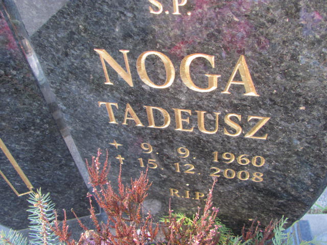 Tadeusz Noga 1960 Świętochłowice (Chropaczów) - Grobonet - Wyszukiwarka osób pochowanych