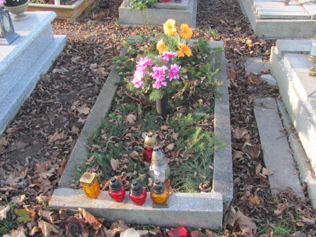 Augustyn Smolin 1916 Świętochłowice (Chropaczów) - Grobonet - Wyszukiwarka osób pochowanych