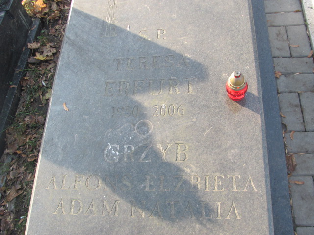 Natalia Grzyb Świętochłowice (Chropaczów) - Grobonet - Wyszukiwarka osób pochowanych