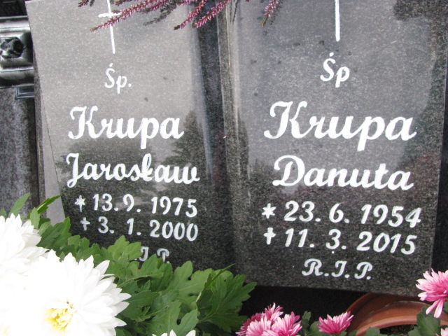 Henryk Panek 1925 Świętochłowice (Chropaczów) - Grobonet - Wyszukiwarka osób pochowanych