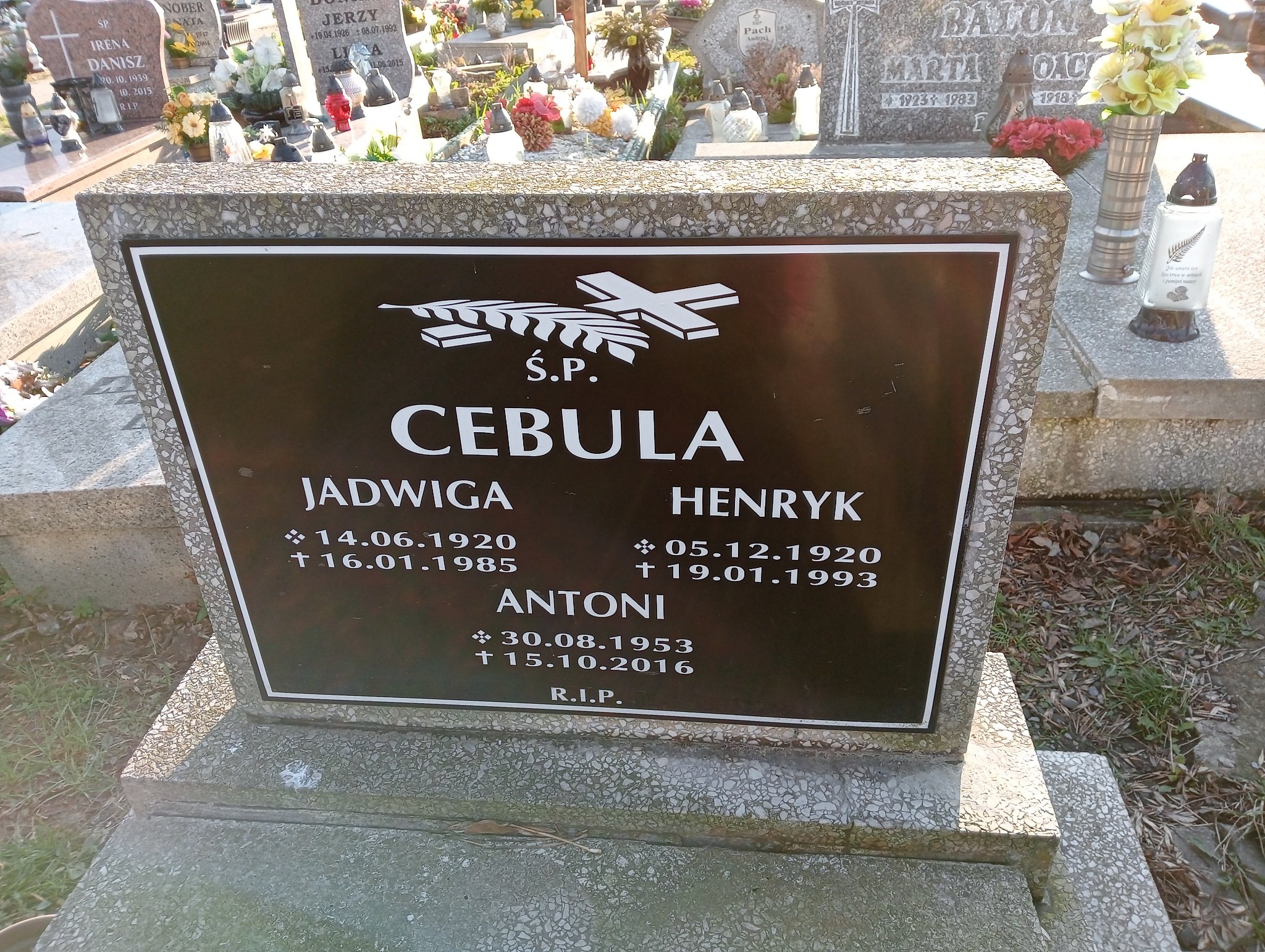 Henryk Cebula 1920 Świętochłowice (Chropaczów) - Grobonet - Wyszukiwarka osób pochowanych