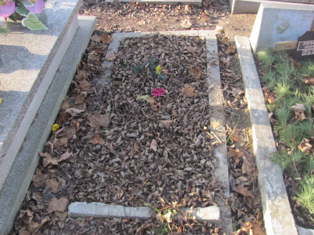 Agnieszka Restel 1910 Świętochłowice (Chropaczów) - Grobonet - Wyszukiwarka osób pochowanych