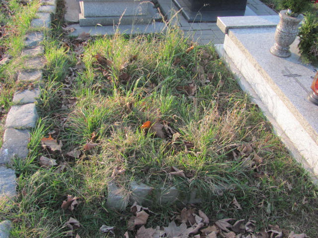  NN Świętochłowice (Chropaczów) - Grobonet - Wyszukiwarka osób pochowanych