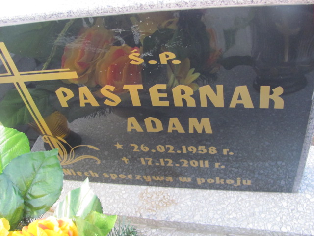 Adam Pasternak 1958 Świętochłowice (Chropaczów) - Grobonet - Wyszukiwarka osób pochowanych