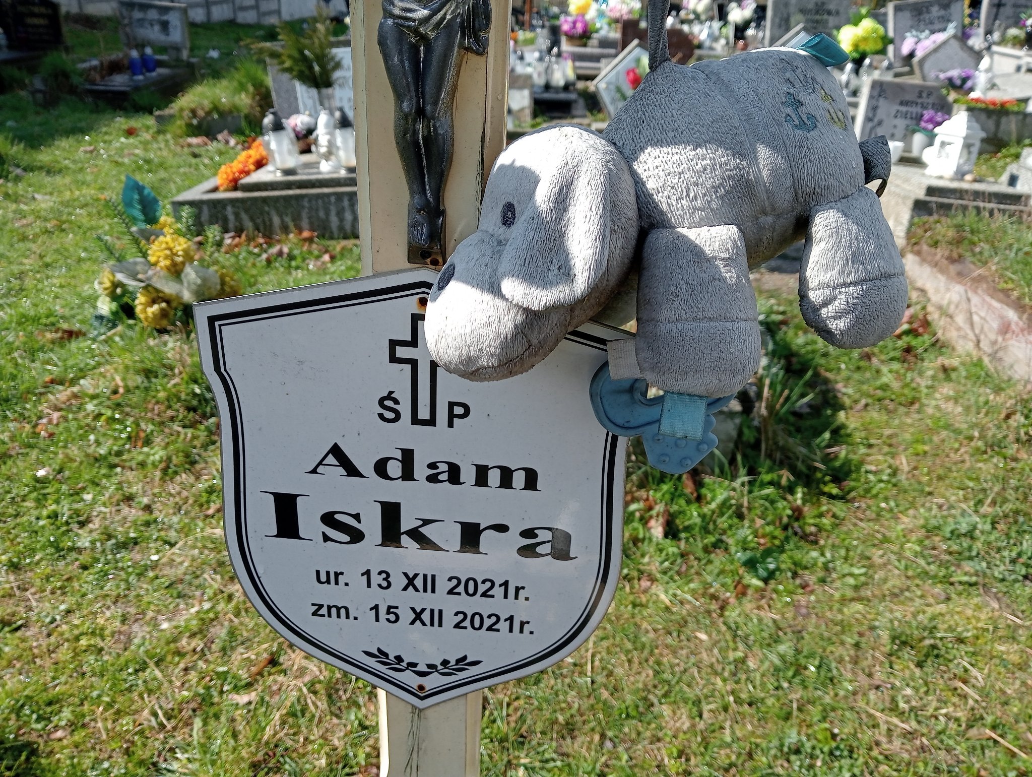 Adam Iskra 2021 Świętochłowice (Chropaczów) - Grobonet - Wyszukiwarka osób pochowanych